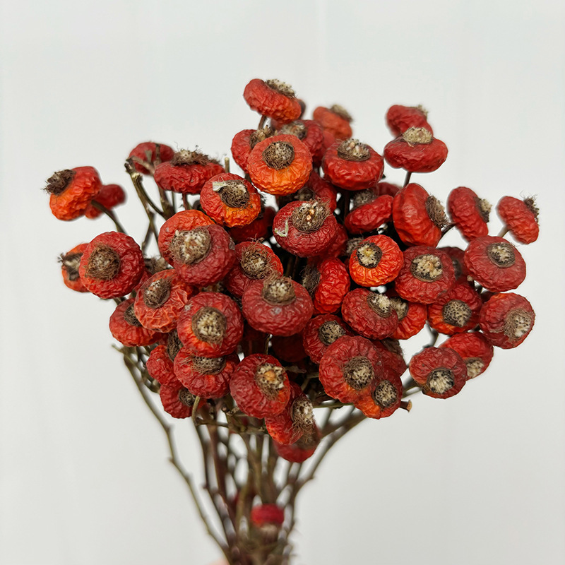 Dried Flower Bulk - 10 Piezas/Ramo de Flores Secas de