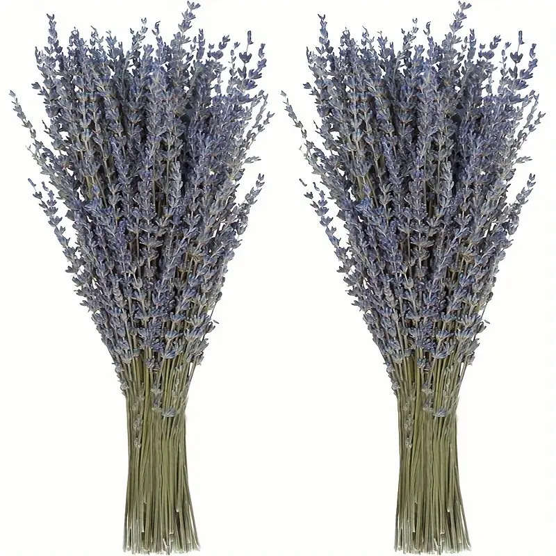 Dried Flower Bulk - 200 Piezas/Ramo de Flores Secas de