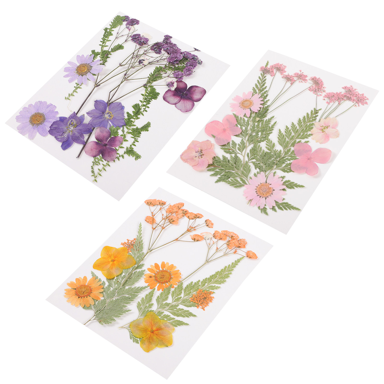 Resin Craft Material - Flores Secas Decorativas, Material de Resina