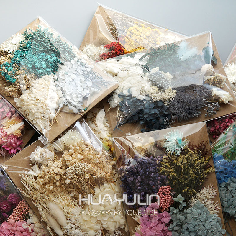 Dried Flower Bulk - 1 paquete de plantas artificiales, flores