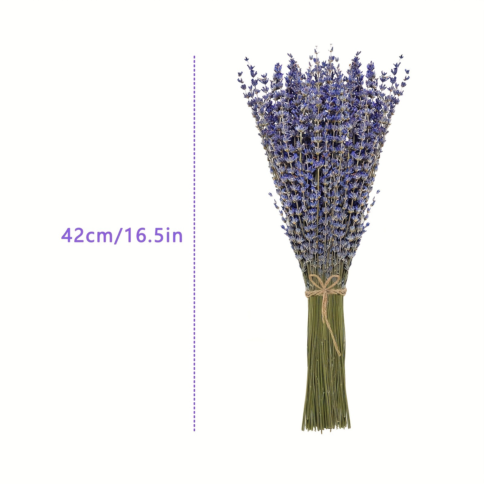 200 Piezas/Ramo de Flores Seca - Dried Flower Bulk reseña y precio