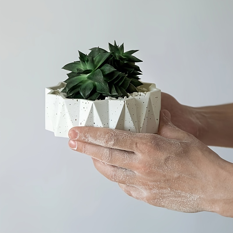 1/2 Moldes de Silicona Grandes - Resin Craft Ideas reseña y precio
