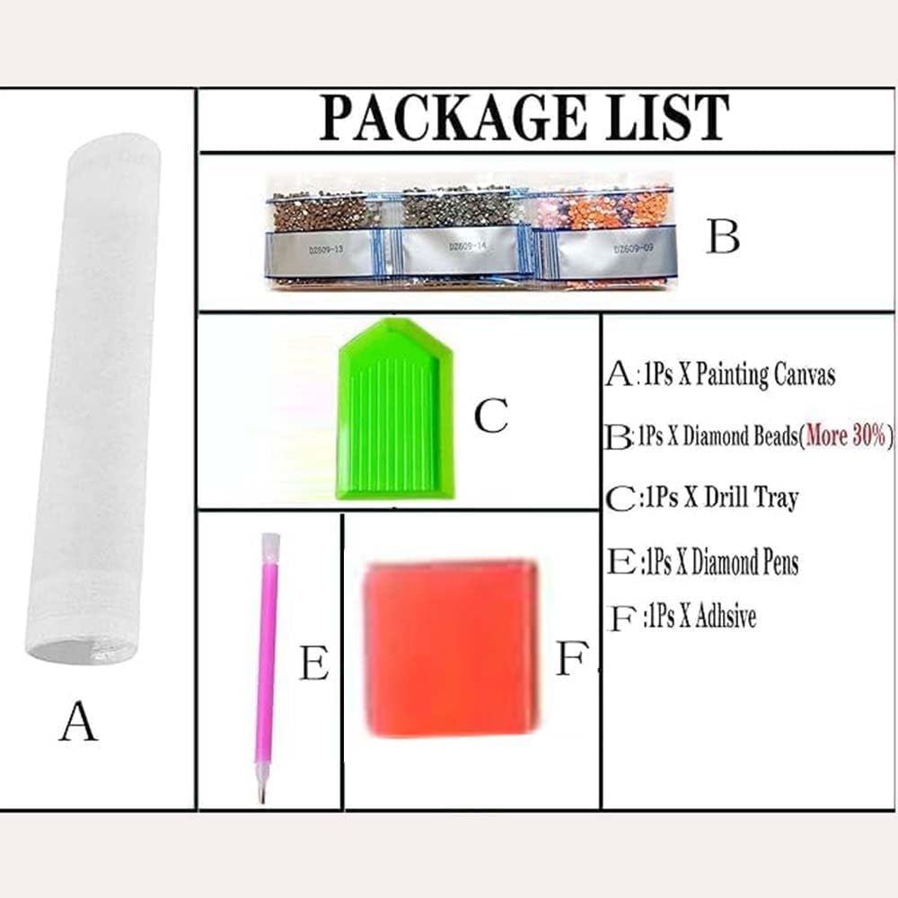 Kits de Pintura de Diamantes c - Resin Craft For Beginners reseña y precio