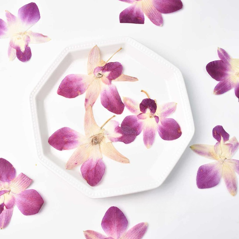4 piezas, Flores de Orquídea M - Resin Craft Material reseña y precio