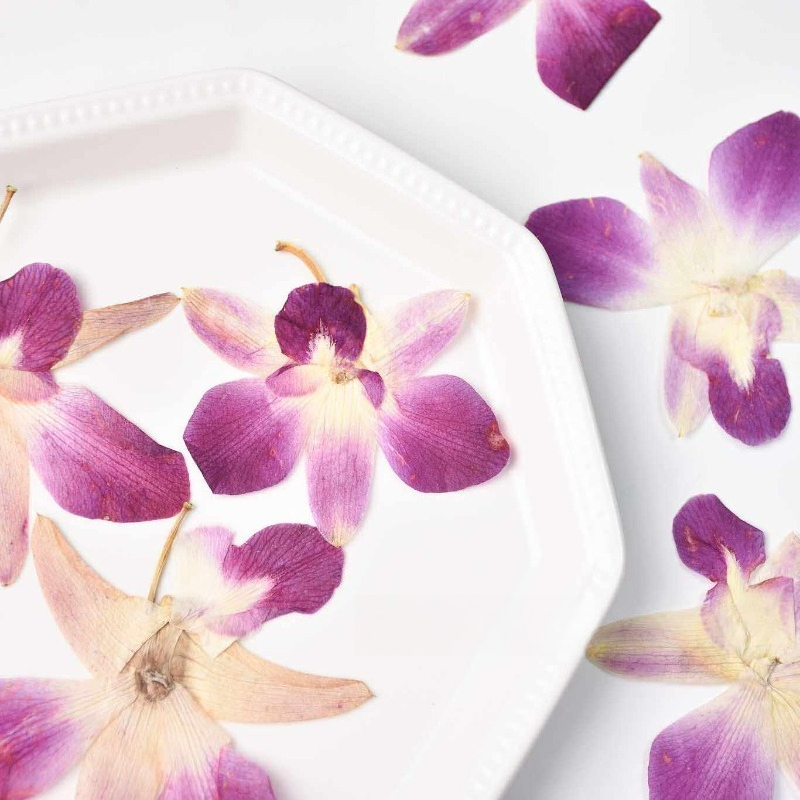 4 piezas, Flores de Orquídea M - Resin Craft Material reseña y precio