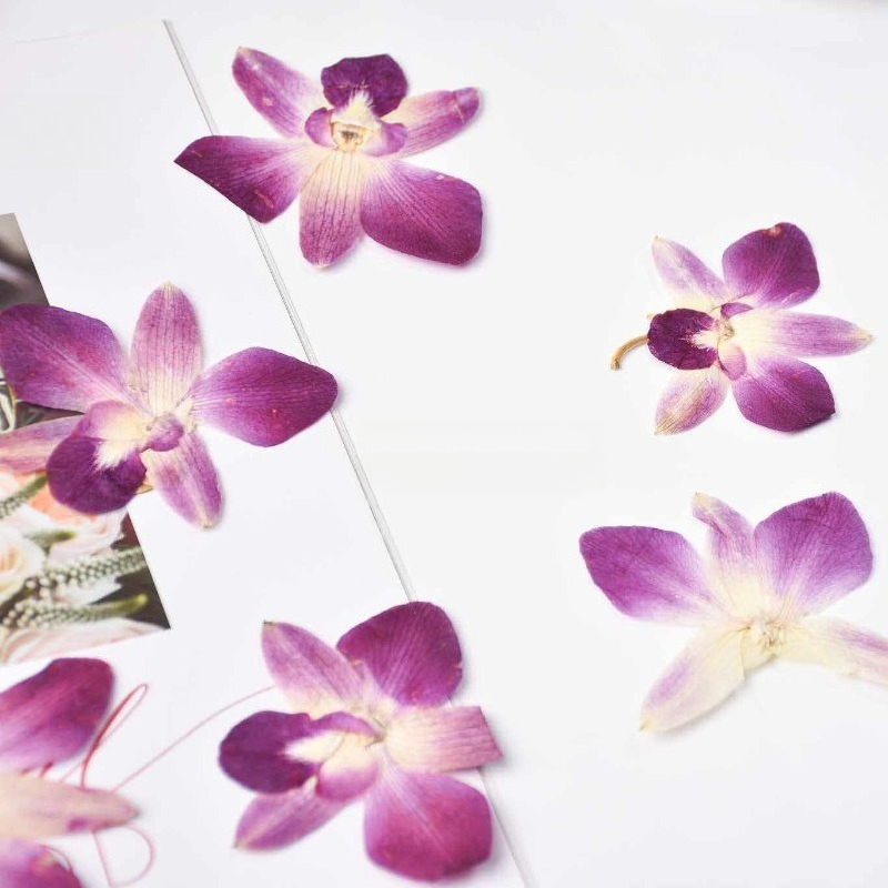 4 piezas, Flores de Orquídea M - Resin Craft Material reseña y precio