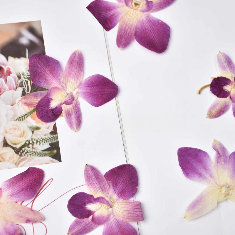 4 piezas, Flores de Orquídea M - Resin Craft Material reseña y precio