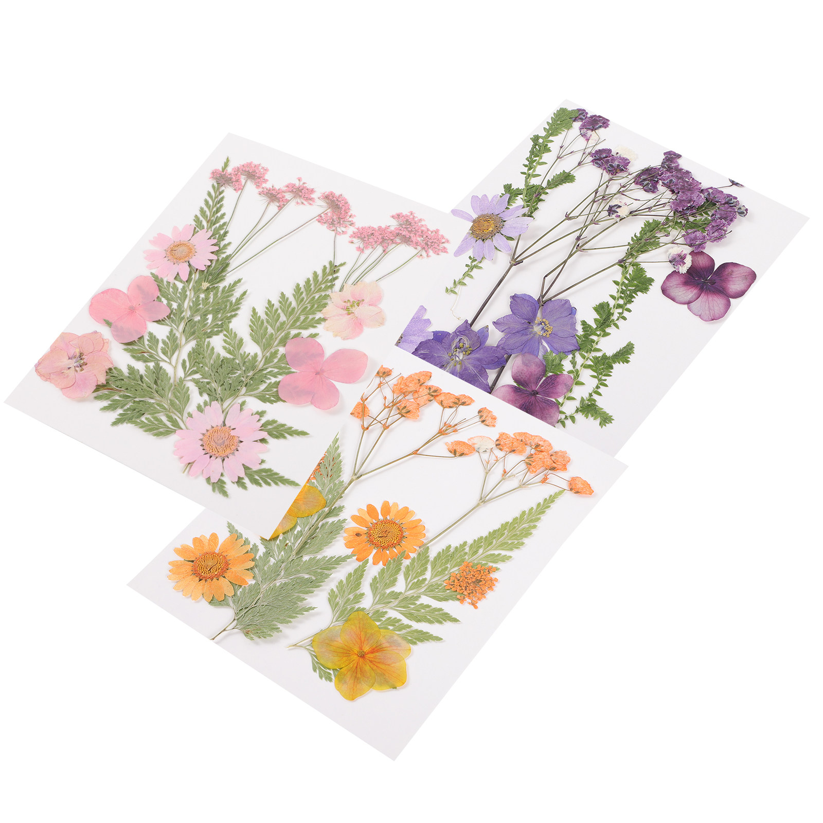 Flores Secas Decorativas, Mate - Resin Craft Material reseña y precio