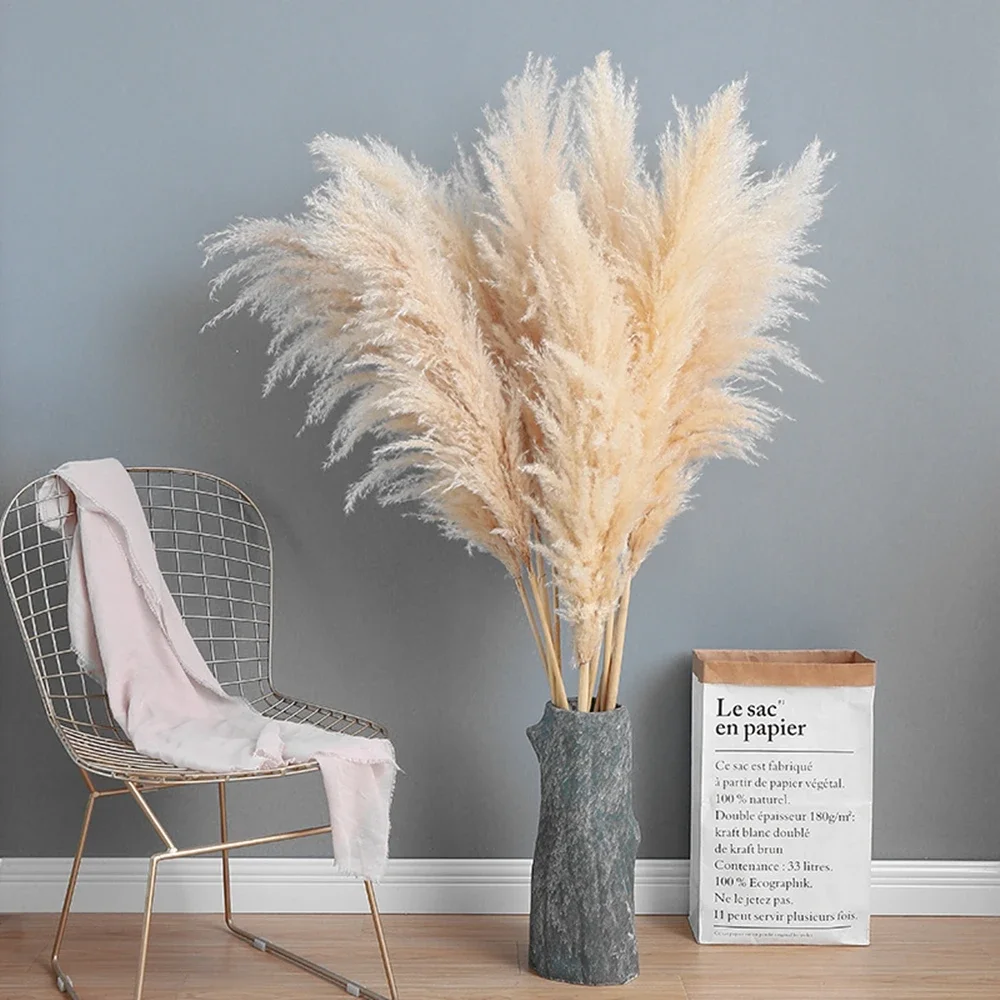 Hierba de Pampa grande esponjo - Dried Flower Bulk reseña y precio