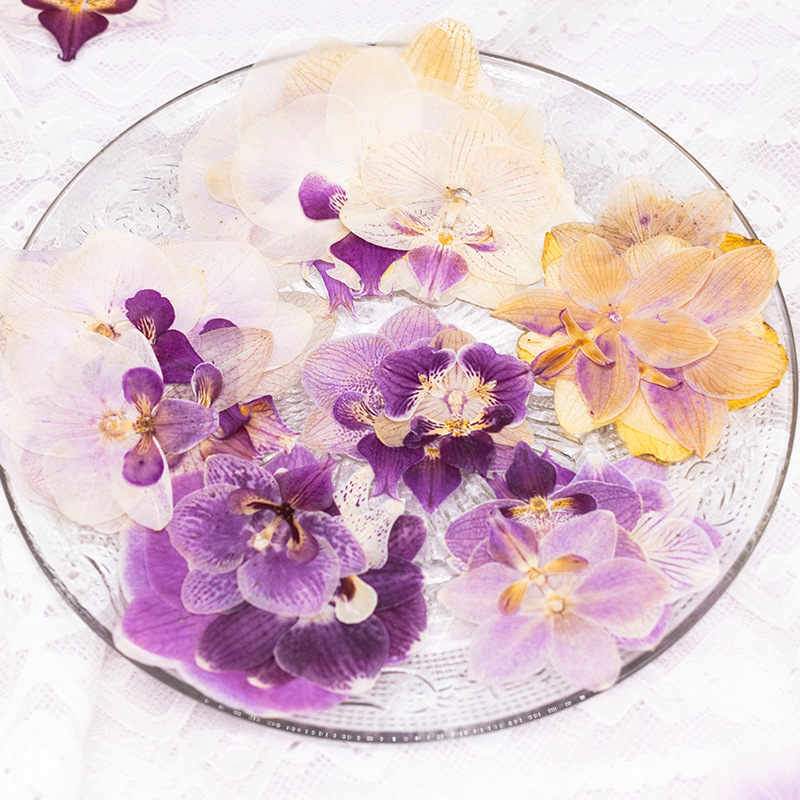 4 Piezas de Cabezas de Orquíde - Dried Flower Bulk reseña y precio