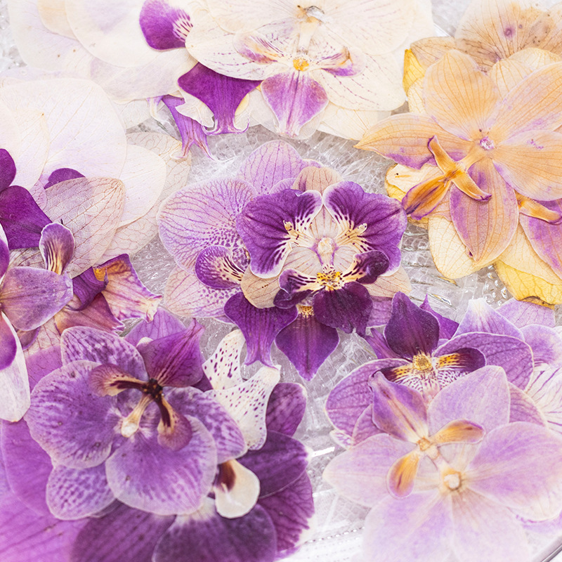 4 Piezas de Cabezas de Orquíde - Dried Flower Bulk reseña y precio