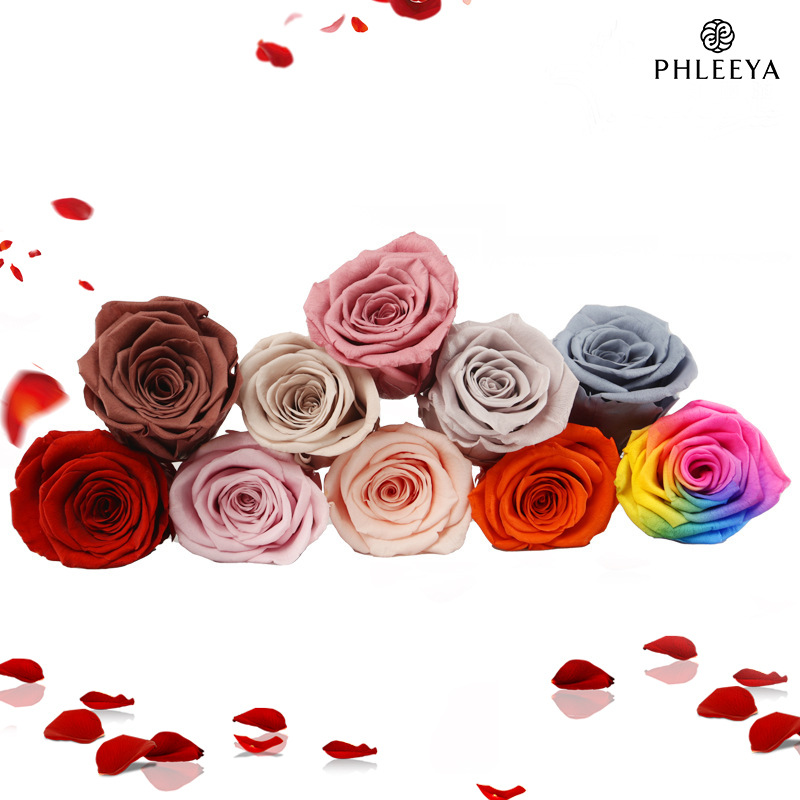 6 uds cabezas de flores de ros - Dried Flower Bulk reseña y precio