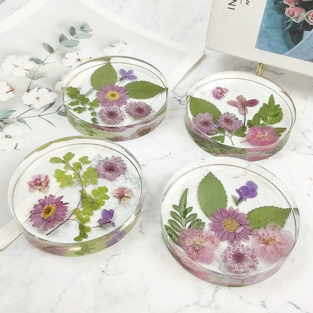 Molde de silicona creativo par - Coaster Mold Round reseña y precio