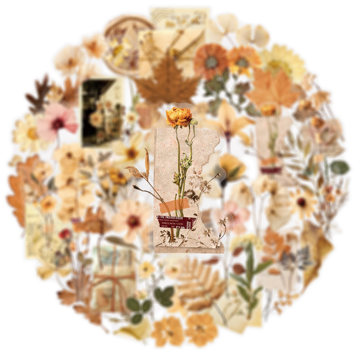 50 Uds. De pegatinas de especí - Dried Flower Bulk reseña y precio